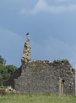 FZ030659 Buzzard on ruined house.jpg